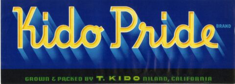 Kido Pride